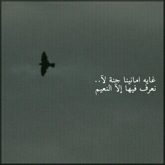 Nothing ...