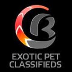 ClutchBreeder is the next evolution of Exotic Pet Classifieds, attracting breeders & hobbyists in a new and innovative online community.
