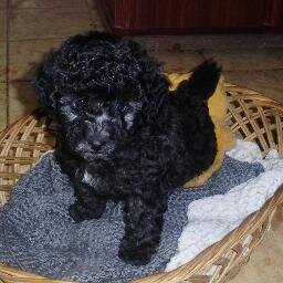 lo mas hermoso que me regalo la vida son mis hijas!!!!!