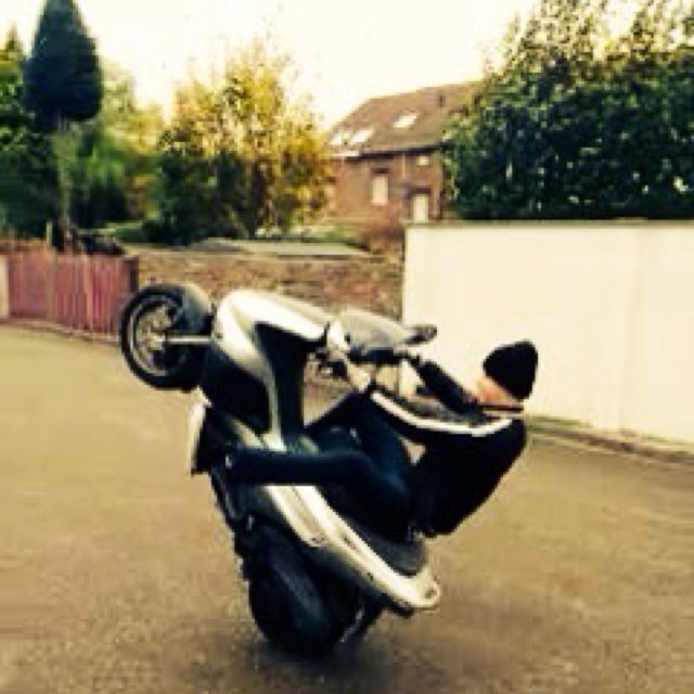 BioniAfonso's profile picture. 