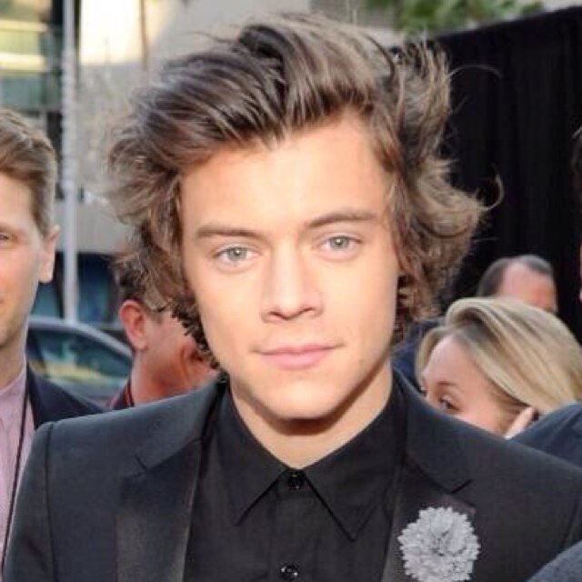 Hi i'm directioner i love one direction and i a good persons that we like to have follows 
:)