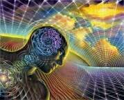Wonder Junkie