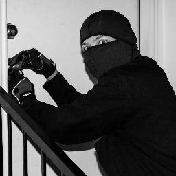 ninjaneer1's profile picture. Hard worker, happily married, veteran, brat and sometimes silly. #BLM He/him Follow @CrooklynMMA @LevelChangePod