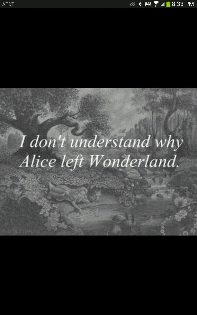 Trying to fly. Its just hard to fly when your wings are broken. Along with everything inside you.