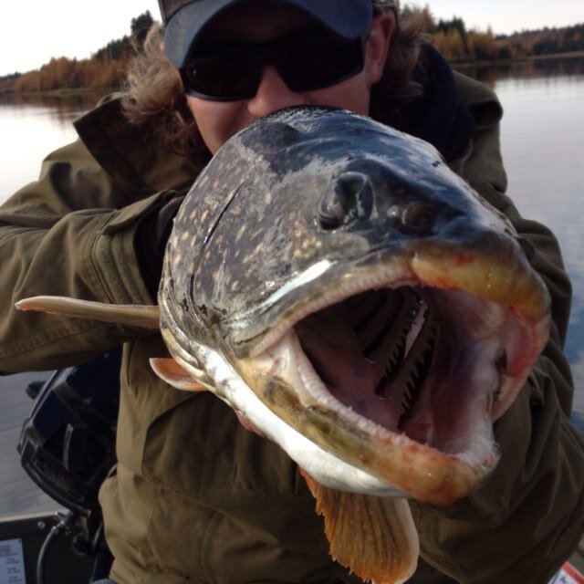 Fly fisherman. Guide. Outdoor Enthusiast. In Manitobas Parkland