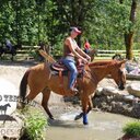 Joanne Goddard - @Jgoddard35 - Twitter