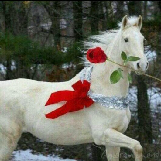 ‏‏‏‏‏‏‏يوما ما ستصعد روحي للسماء ، فاللهم هون علي الموت وسكراته واحسن خواتيم حياتي وتوفاني وانت راضي عني ،، سامحوني
