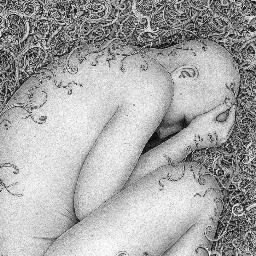 words_ink's profile picture. Прямой эфир из подполья.