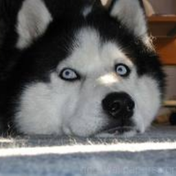 pinkplay1990's profile picture. 