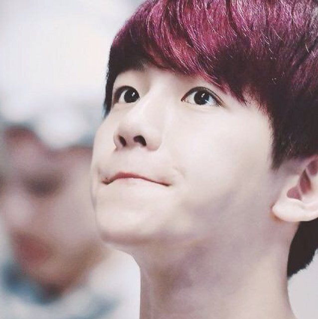 EXO 백현 Baekhyun(ro)bot. 12/1start~