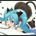 あずきねこ (@0229Sugar) Twitter