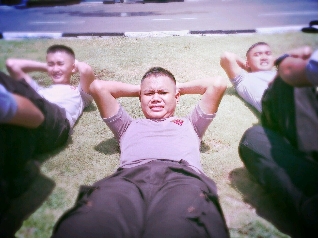 Perintis