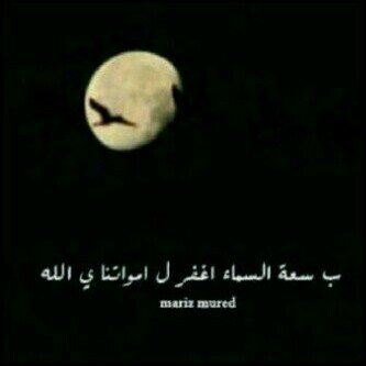 ‏لأننا نفتقدهم ولأن الطرق إليهم قد أنسدت ولكن طرق الخير لن تسد بإذن الله 3
جعلت هذا الحساب صدقه جاريه لـ #عمي #جدتي #خالي وجميع أمواتنا 3
