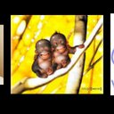 Gary Box - @GaryBox2 - Twitter