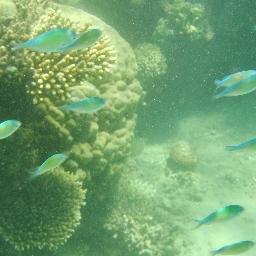 JOFOEjordan's profile picture. 