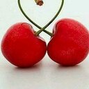 lovely. (@0515lovely) Twitter