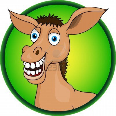 Tips for horses to lay- profit each day!  We use £100 stake to lay a fav, you can start small with the stake and build up. good luck!