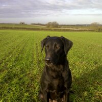 Neil Wright (@wrightnj7) Twitter profile photo