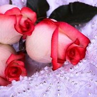 talha efe hasım (@efehasm) 's Twitter Profile