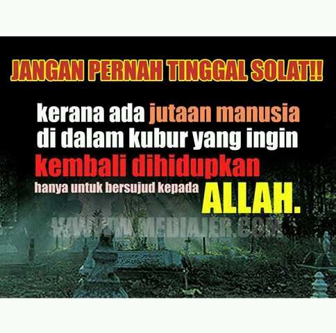 @habibielislami