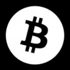 Understanding the Bitcoin Economy Through Common Sense Analysis
