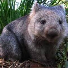 ezza919's profile picture. 