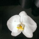 Sierra Starr - @SierraStarr77 - Twitter