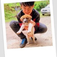 alexander gani (@alexandergani1) 's Twitter Profile