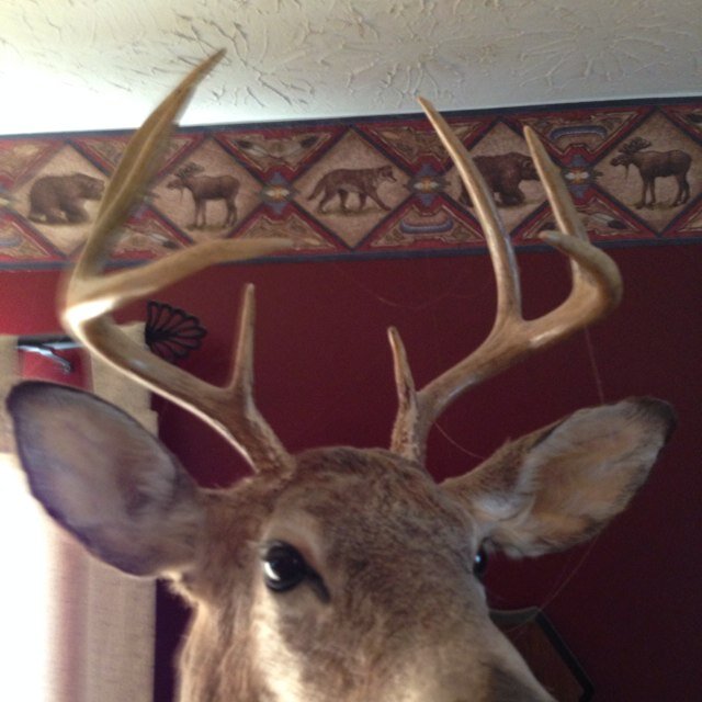 Randy37sRandy's profile picture. 