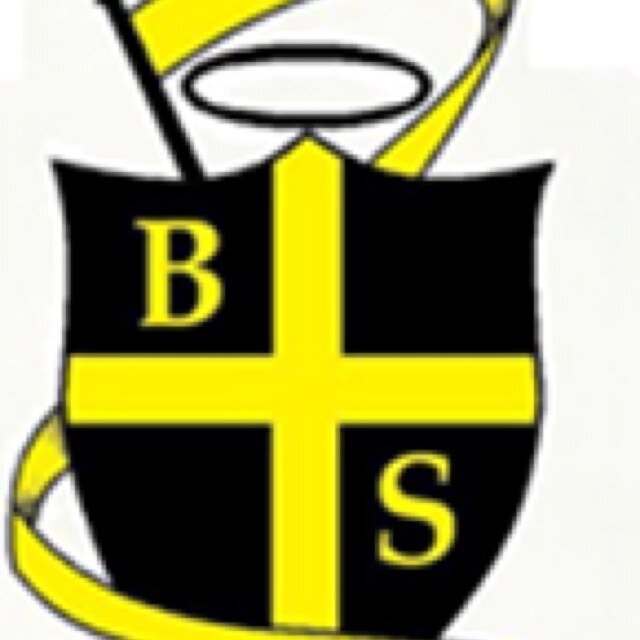 Barry Saints AFC - VOGAFL Premier Division 2018/19 - 2017 VOGAFL Dockers Cup winners 🏆 & VOGAFL Division 2 runners up - 2018 - Division 1 runners up