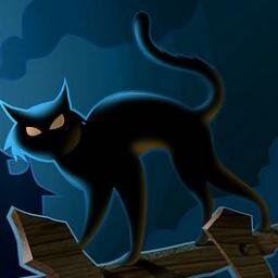 MihailMor Profile Picture