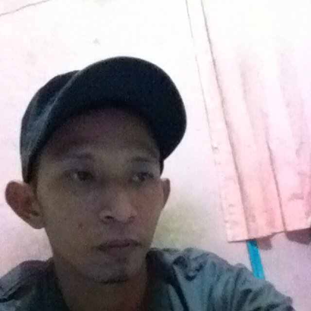 single, IT programmer