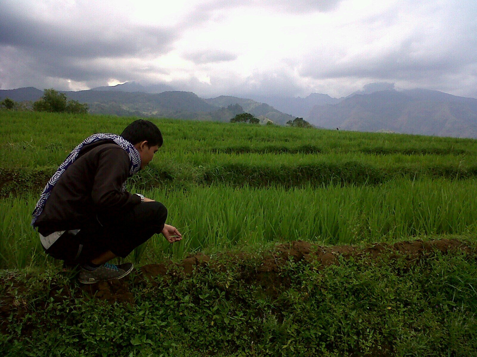 Ohara_One's profile picture. hanya ingin membahagiakan orang tua