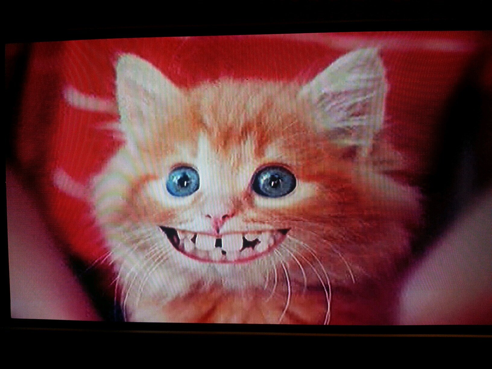 Sabrm30's profile picture. life is too short to worry, live ur life to the max