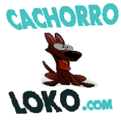 Dê gargalhadas com o blog de humor cachorro loko
