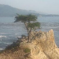 San Jose (@glockamolee) 's Twitter Profile