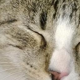 Lumienkelin's profile picture. 