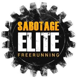 Professional Free Running and Stunt Team streamlining commercial projects and community development through parkour and free running
