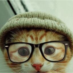 Directioner, Swiftie, semidiosa, tributa... En fin, lectora.