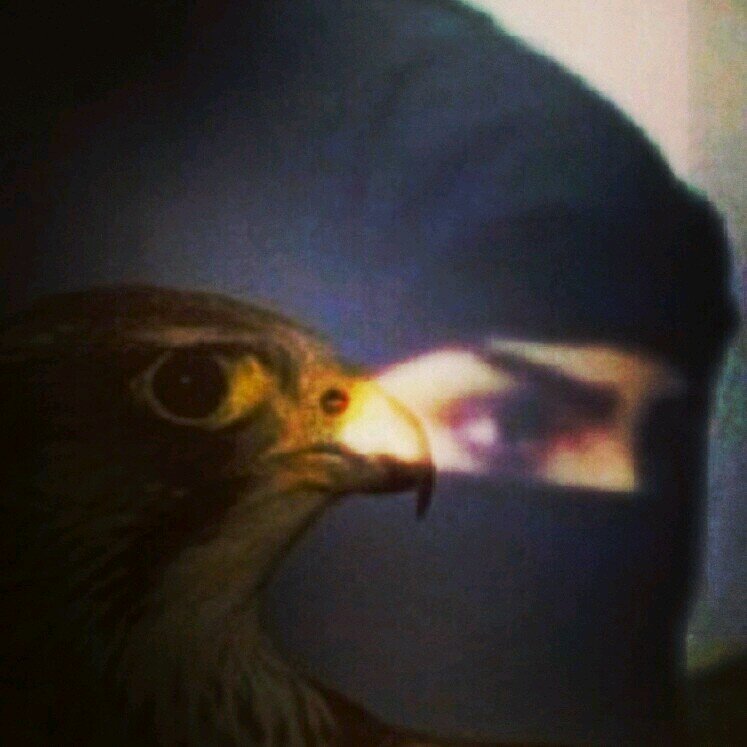 كلامك مكتوب وقولك محسوب، وأنت يا هذا مطلوب، ولك ذنوب وما تتوب، وشمس الحياة قد أخذت في الغروب، فما أقسى قلبك بين القلوبً ...