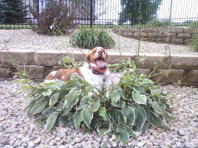 AmySpetz10's profile picture. 