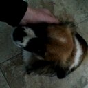 Scott Anderton - @scotta6226 - Twitter