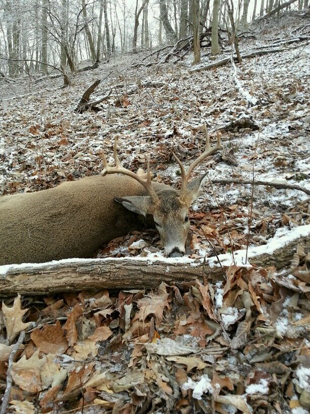 Gary_Zemb's profile picture. just me being me!