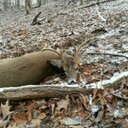 Gary Zembower - @Gary_Zemb - Twitter