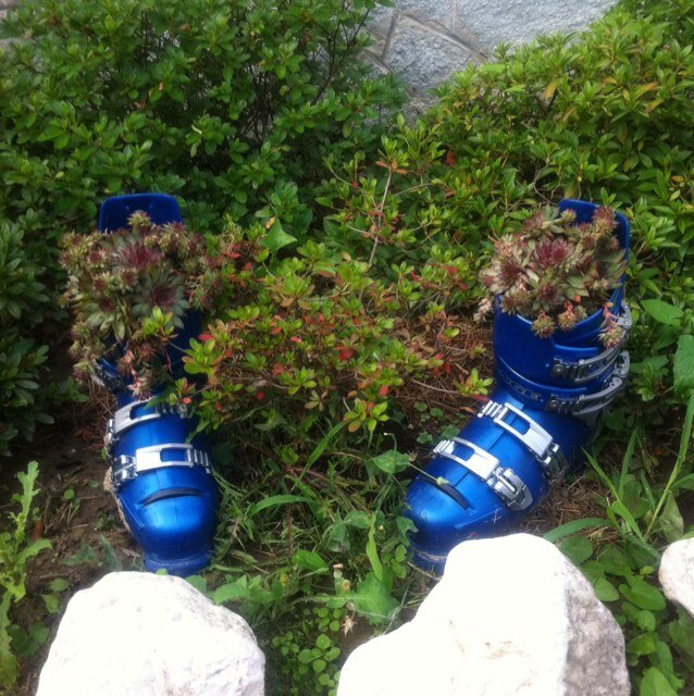 albertomiche's profile picture. 