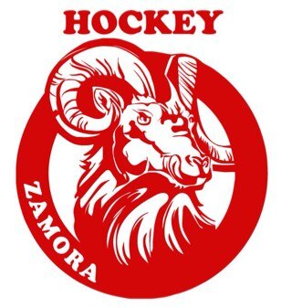 Equipo de Street Hockey Inline del C.D. Zamora Patina