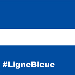 L'actualité des polices municipales et de la sécurité urbaine en France. #LigneBleue Fil d'infos permanent.