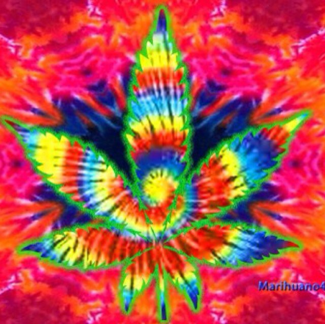 Lsd all the way raised in the boons ready to start new in georgiaaaaaa