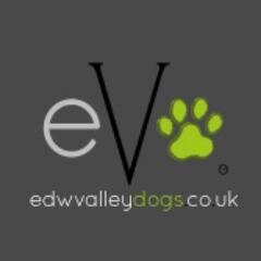 edwvalleydogs Profile Picture