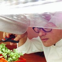 daniel chavez bello (@chavez_bello) 's Twitter Profile